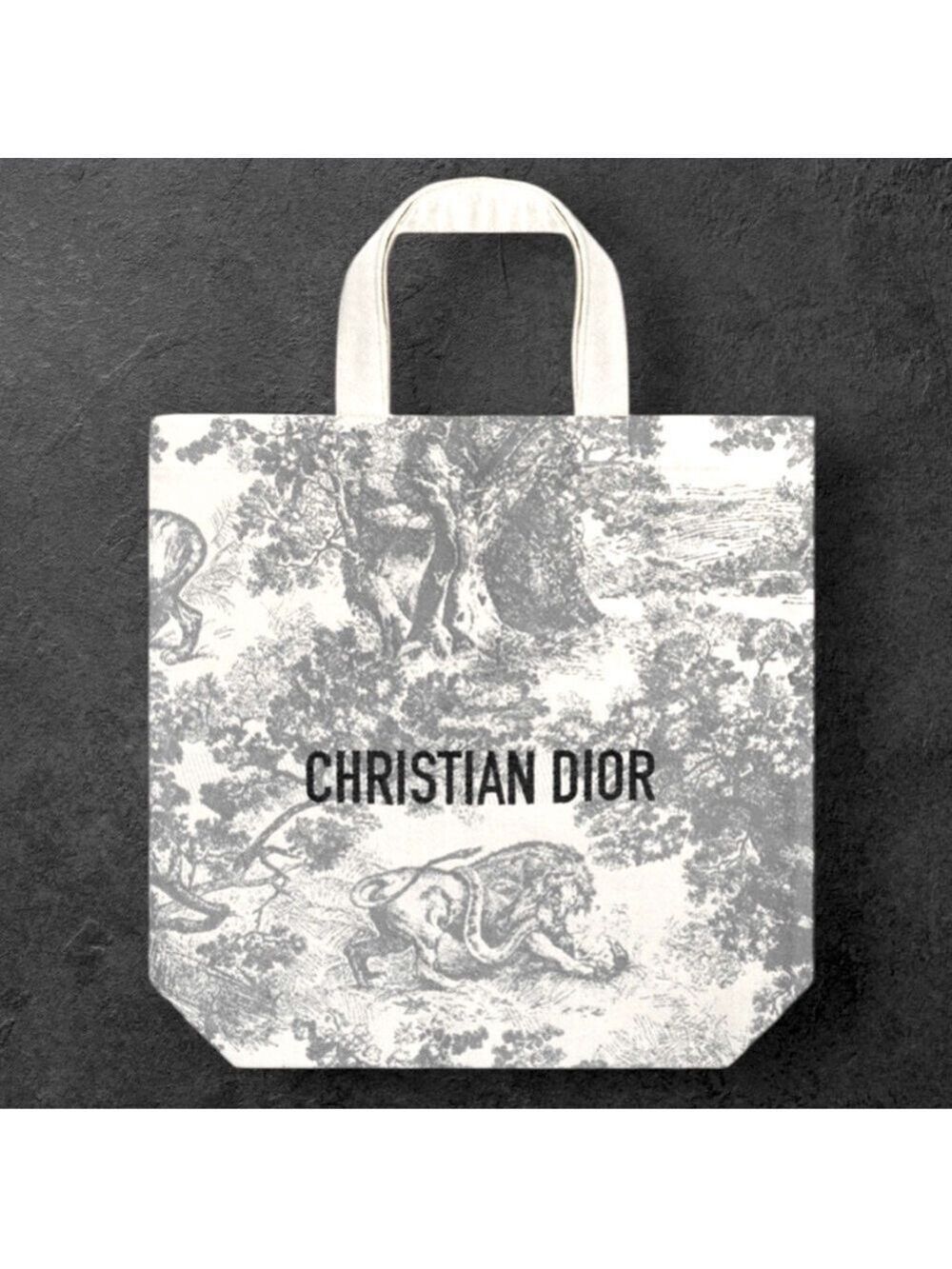 Dior Grey Tote Shopping Bag Medium Embroidered Logo New Authentic